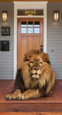 Home